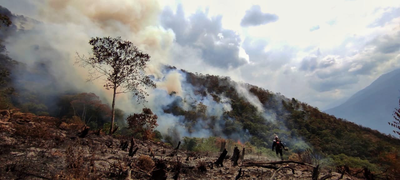 Bomberos controlan el 70% del incendio forestal en Cotapata