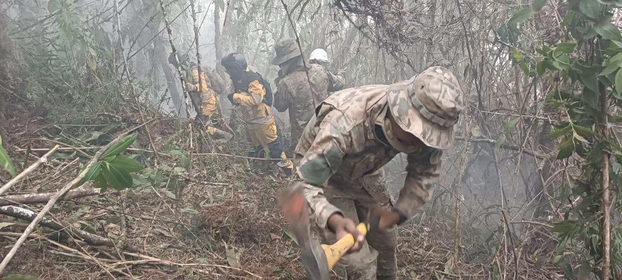 Controlan incendios “más intensos” en el parque de Cotapata, Defensa envía a más bomberos 