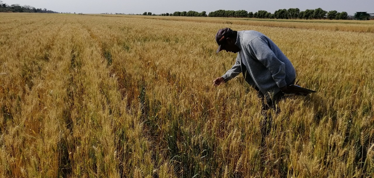 Presidente instruye generar biotecnología propia para paliar efectos del cambio climático en la producción