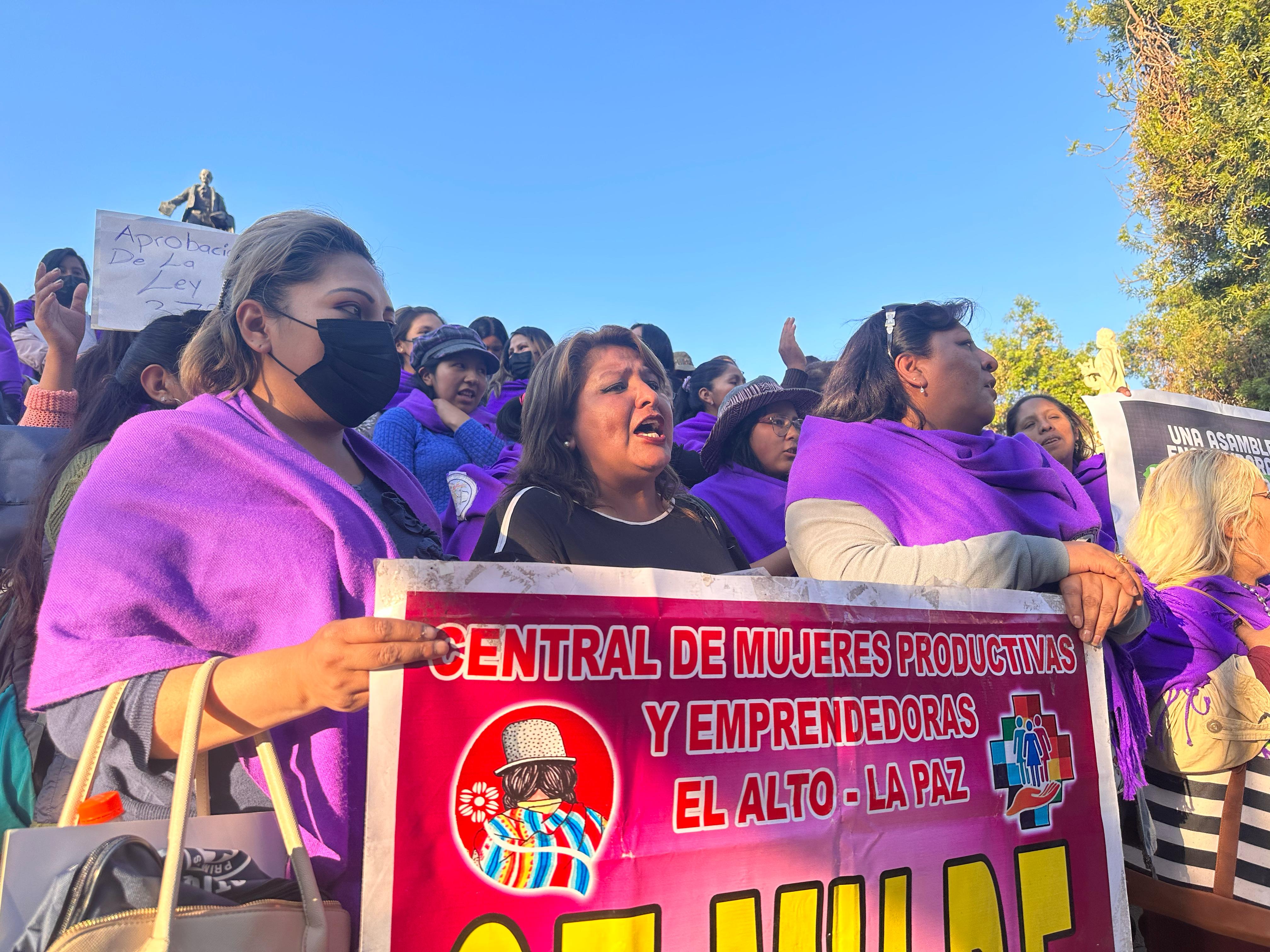 Mujeres emprendedoras de El Alto condenan actitud de legisladores y convocan a marcha a favor del proyecto de ley 372