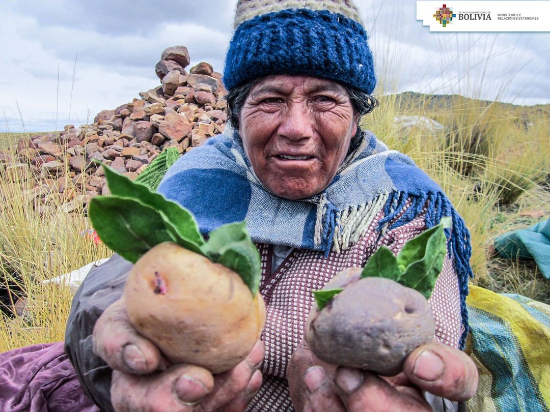 Bolivia impulsa en la ONU creación de un grupo exclusivo para promover derechos de campesinos