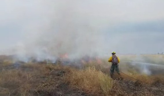 Bomberos enfrentan dos incendios y Defensa Civil reporta una disminución “considerable” de focos de calor