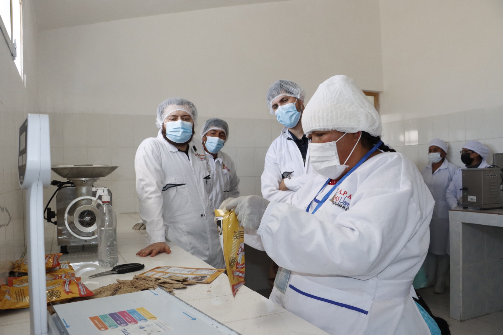 Naciones Unidas apoyará posicionamiento de Bolivia como el principal país productor de camélidos