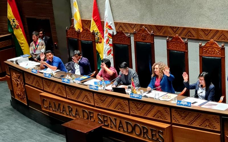 Senado da curso a ley que convoca a referendo vinculante para definir límites de Coripata y La Asunta