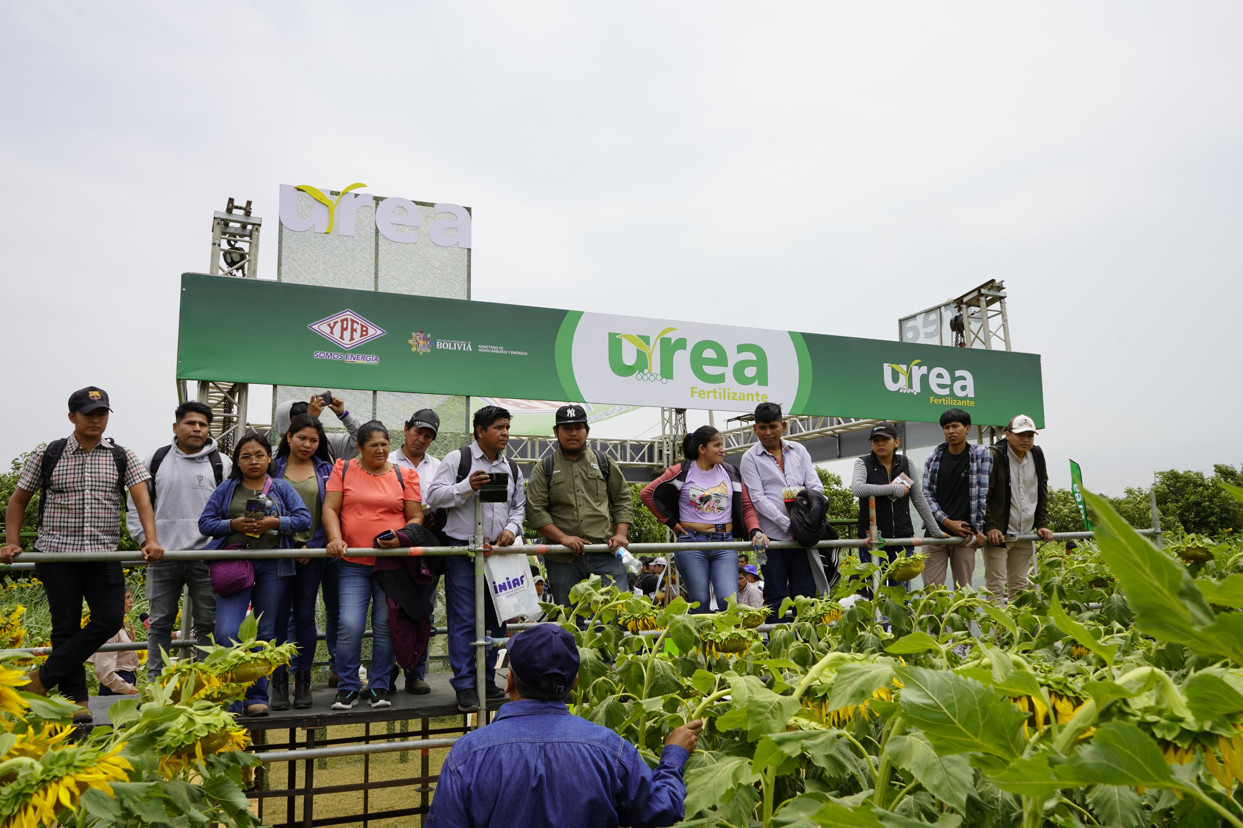 Más de 50.000 toneladas de urea se comercializaron entre enero y septiembre de 2023