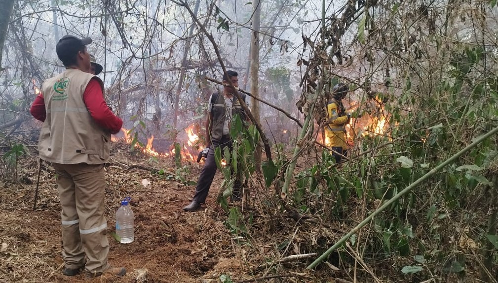 ABT pide endurecer sanciones contra quienes provoquen incendios forestales
