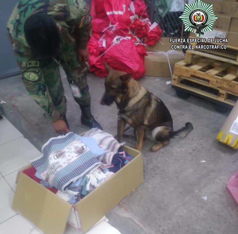 En Viru Viru can detecta más de 13 kilos de droga y evita traslado a Australia