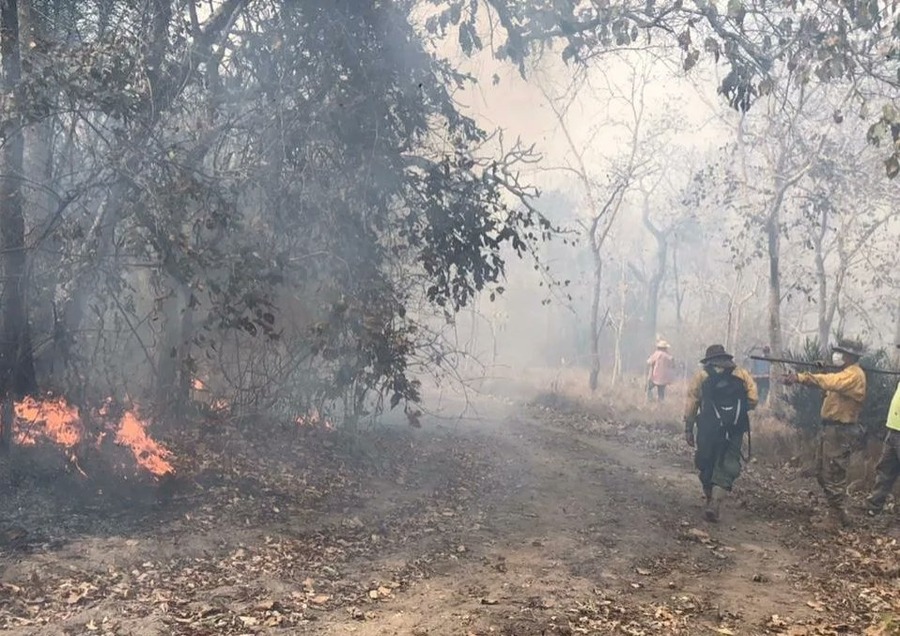 Aprehenden a un hombre por iniciar quema ilegal en San Julián 