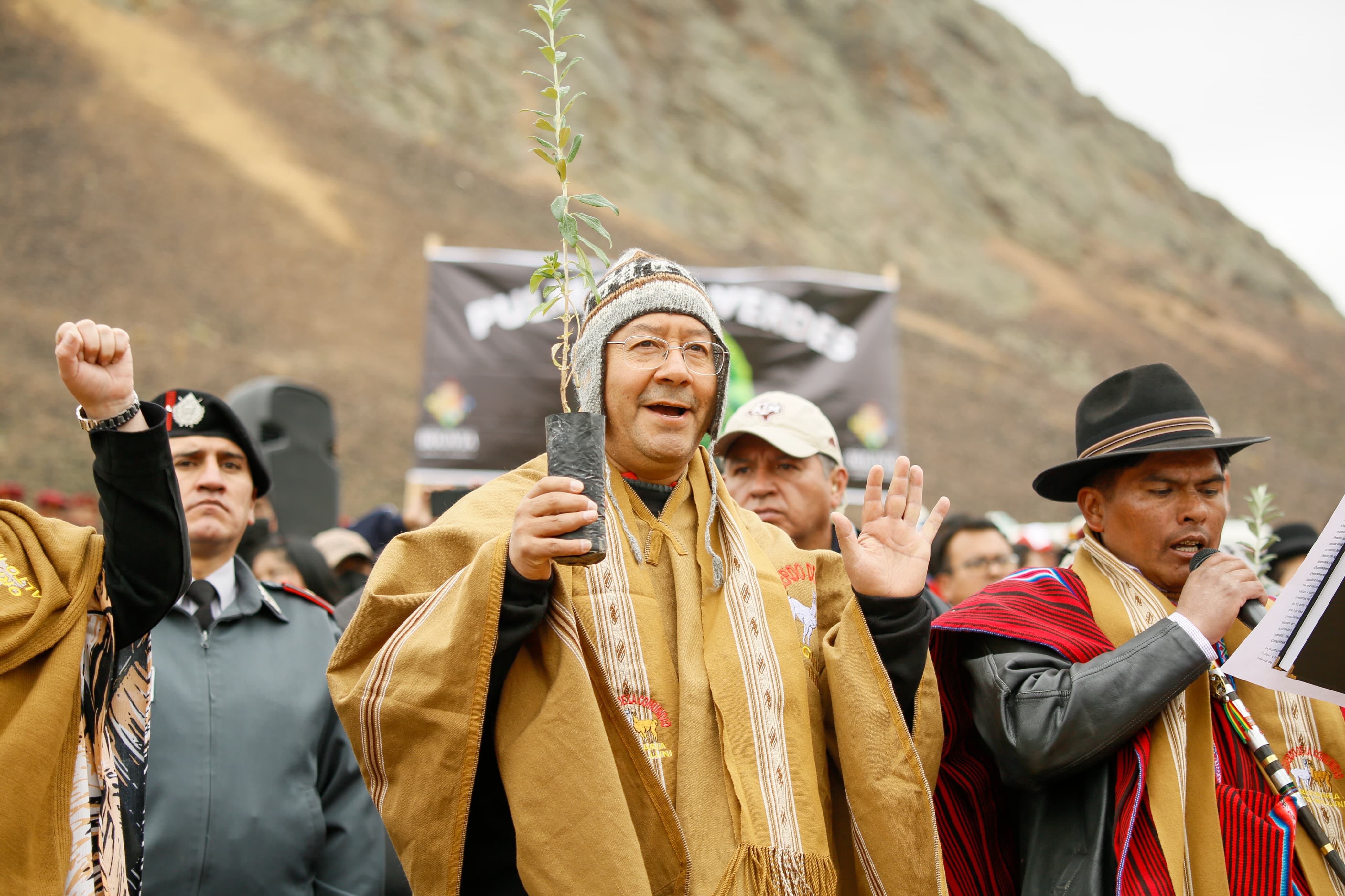 En El Alto plantan 5.000 plantines de árboles para proteger fuentes de agua, Arce llama a actuar por el medio ambiente