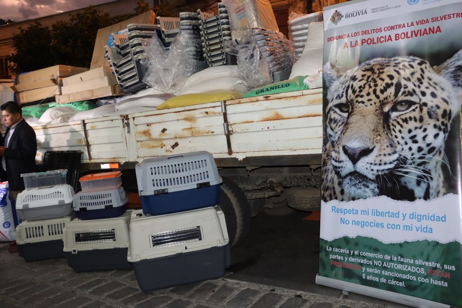 Gobierno envía alimentos e insumos para fauna silvestre afectada por incendios