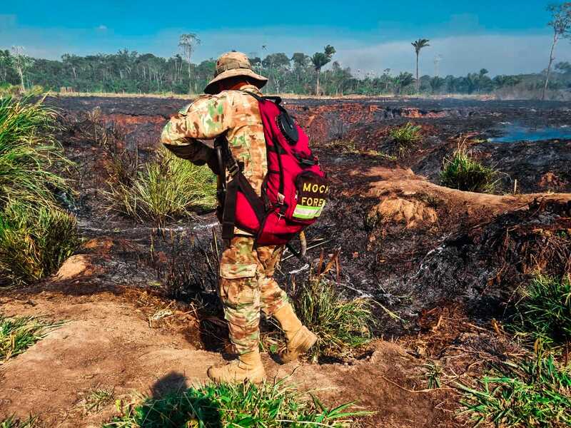 Bolivia reporta incendios en 11 municipios de Santa Cruz, Beni y La Paz