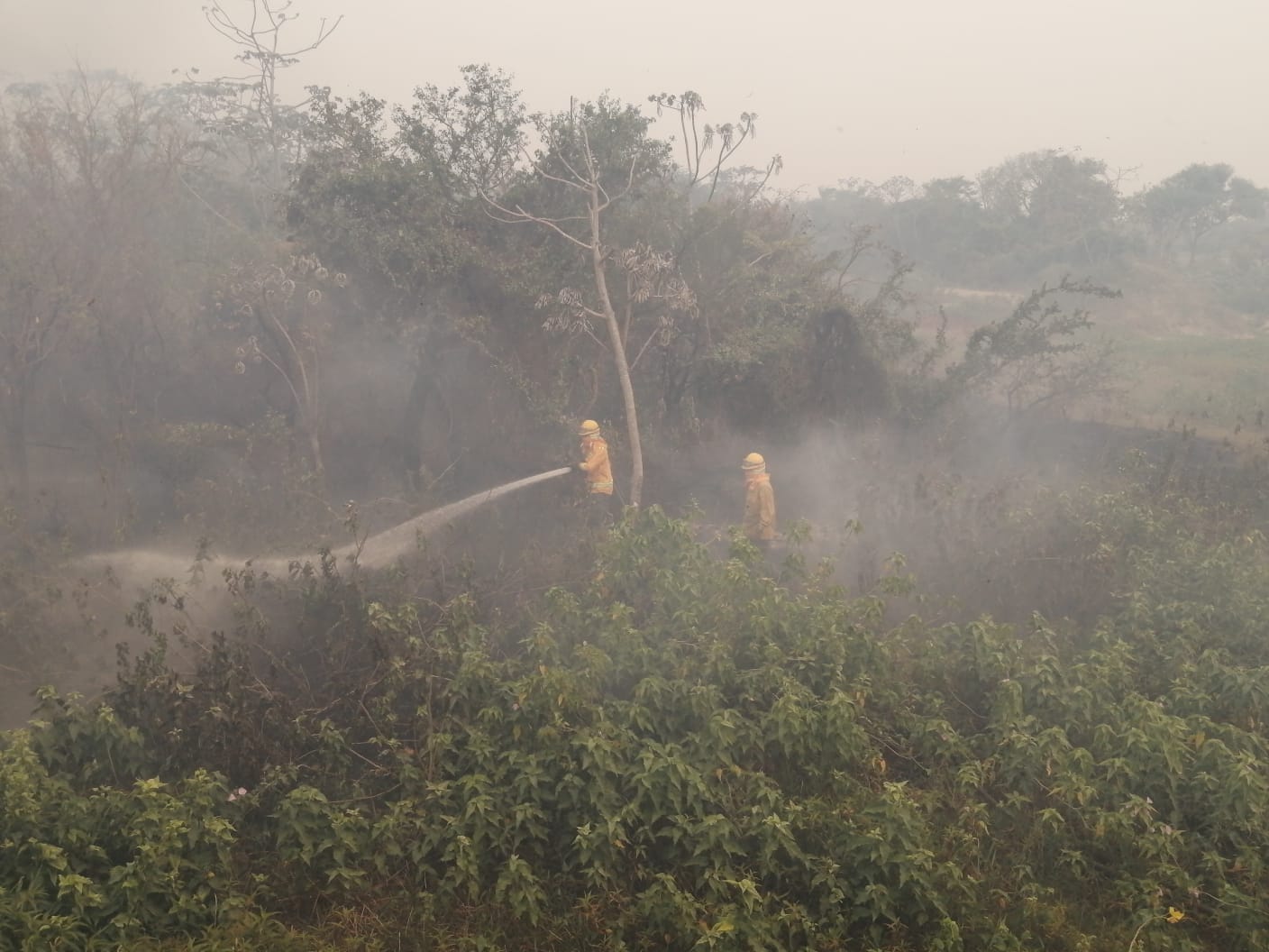 Reducen de 12 a 8 los incendios forestales activos en La Paz y Beni
