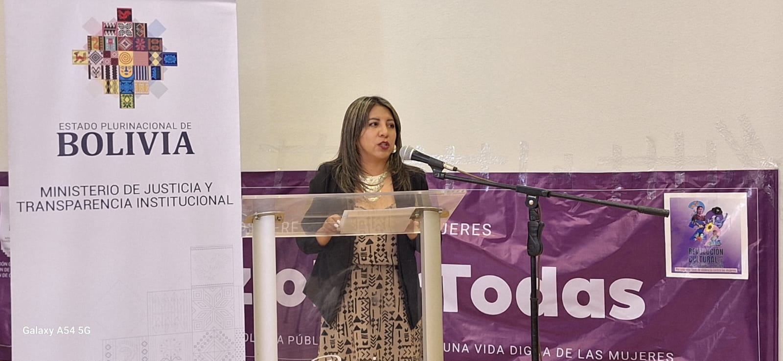 Bolivia registró 341.946 casos de violencia intrafamiliar en 10 años