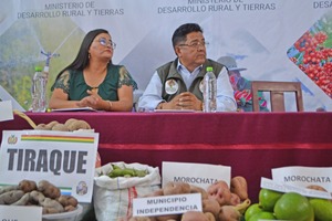 En 12 municipios invertirán bs 18,8 millones para incrementar la producción agropecuaria y reactivar la economía de 3.480 familias