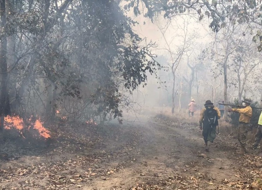 Sobrevuelo identifica reactivación del fuego en el norte de La Paz