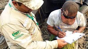 ABT entregó 497 citaciones de comparendo y sigue 19 procesos penales por quemas ilegales 