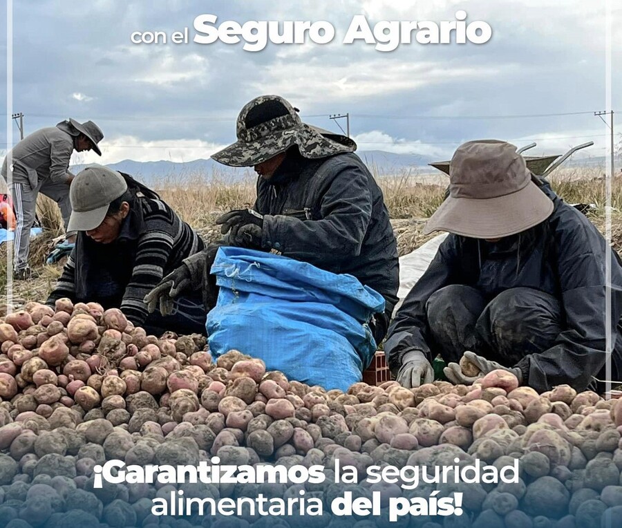 Gobierno asegura más de 136.000 ha de cultivos contra efectos climatológicos, paga Bs 1.000 por ha perdida o dañada