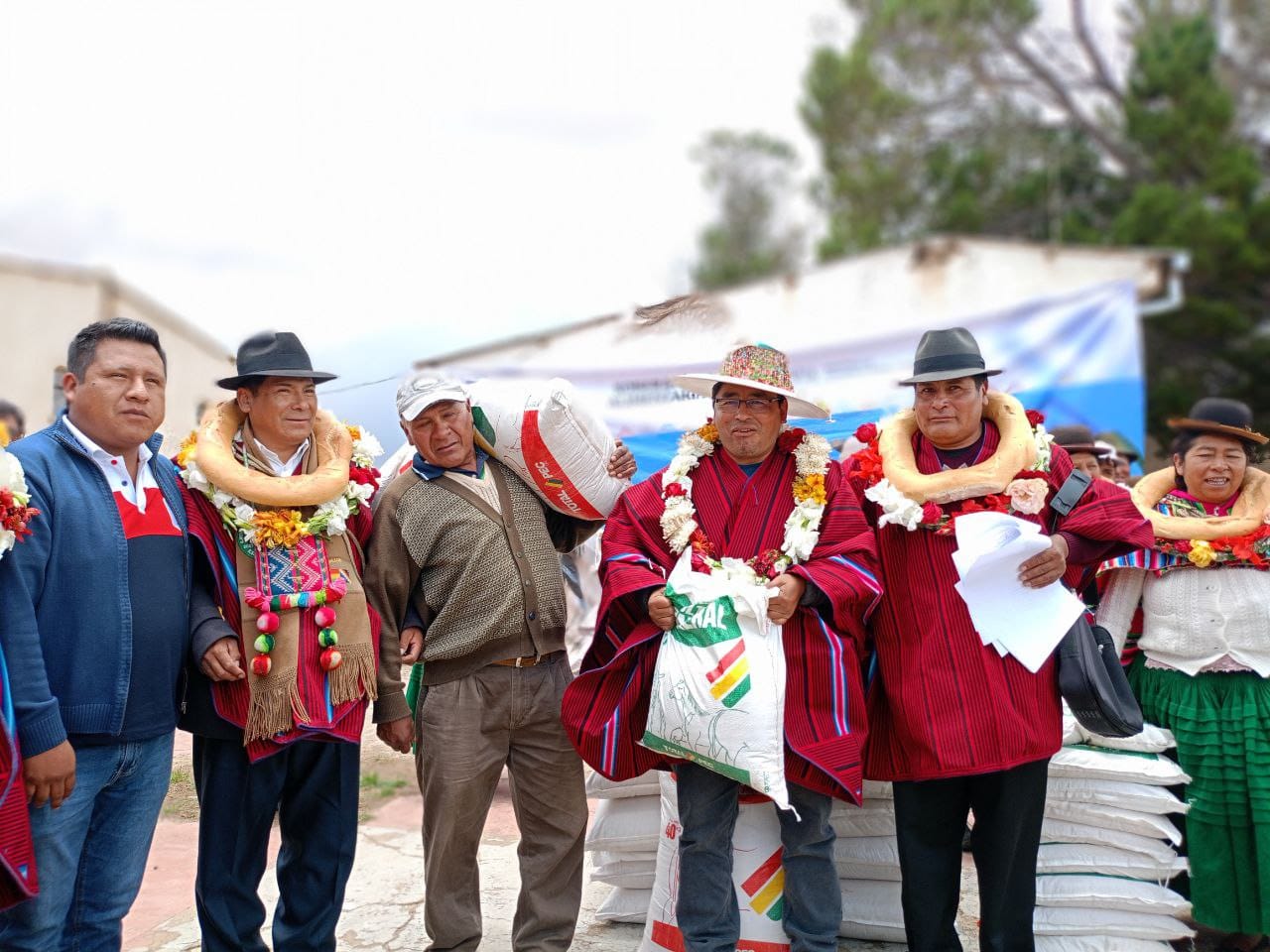 Gobierno entrega alimento balanceado y sales minerales para ganado bovino en Sica Sica