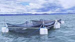 En Taraco entregan jaulas, equipamiento e insumos para fortalecer la producción piscícola