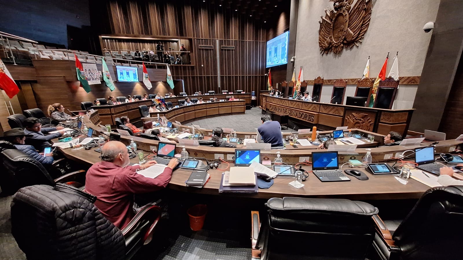 Senado aprueba proyecto de ley que suspende plazos en el Judicial y en el TCP