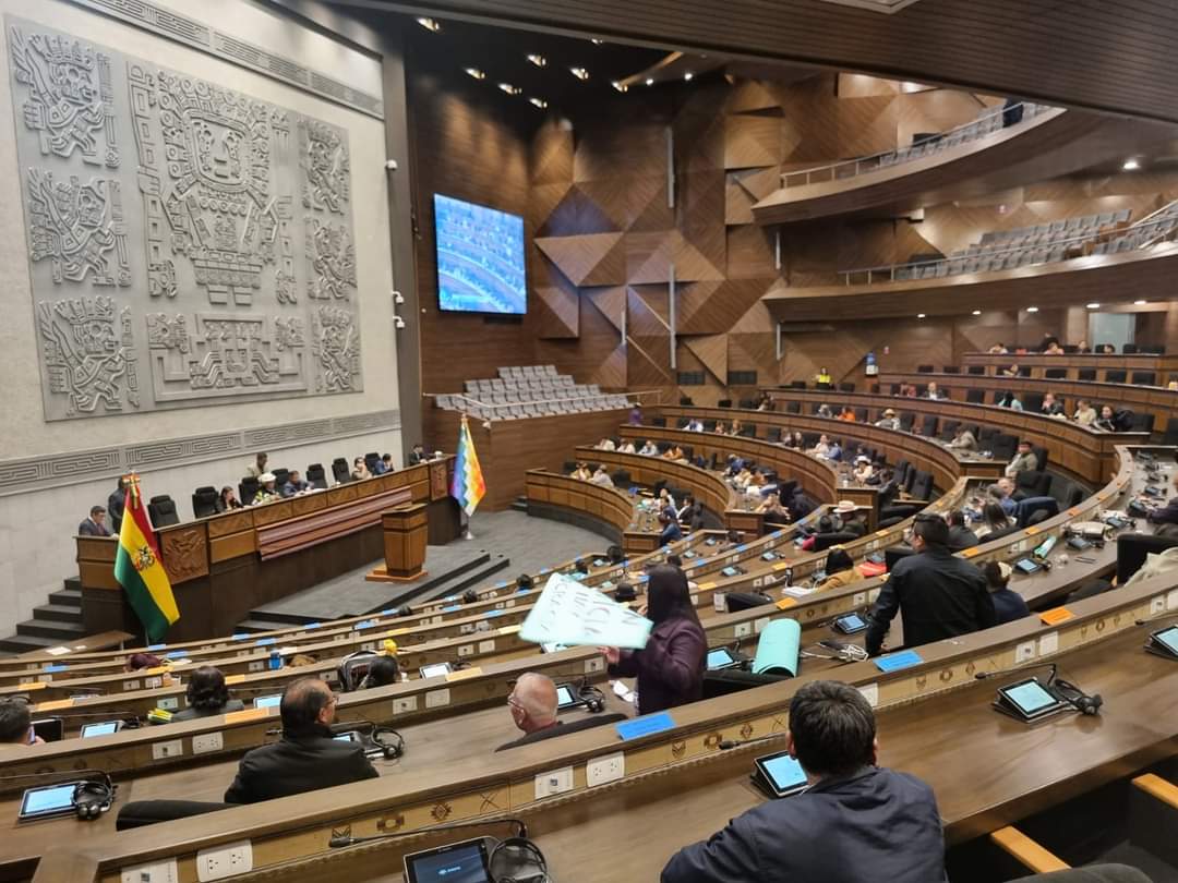 La quinta sesión de la ALP. Foto: Vicepresidencia.