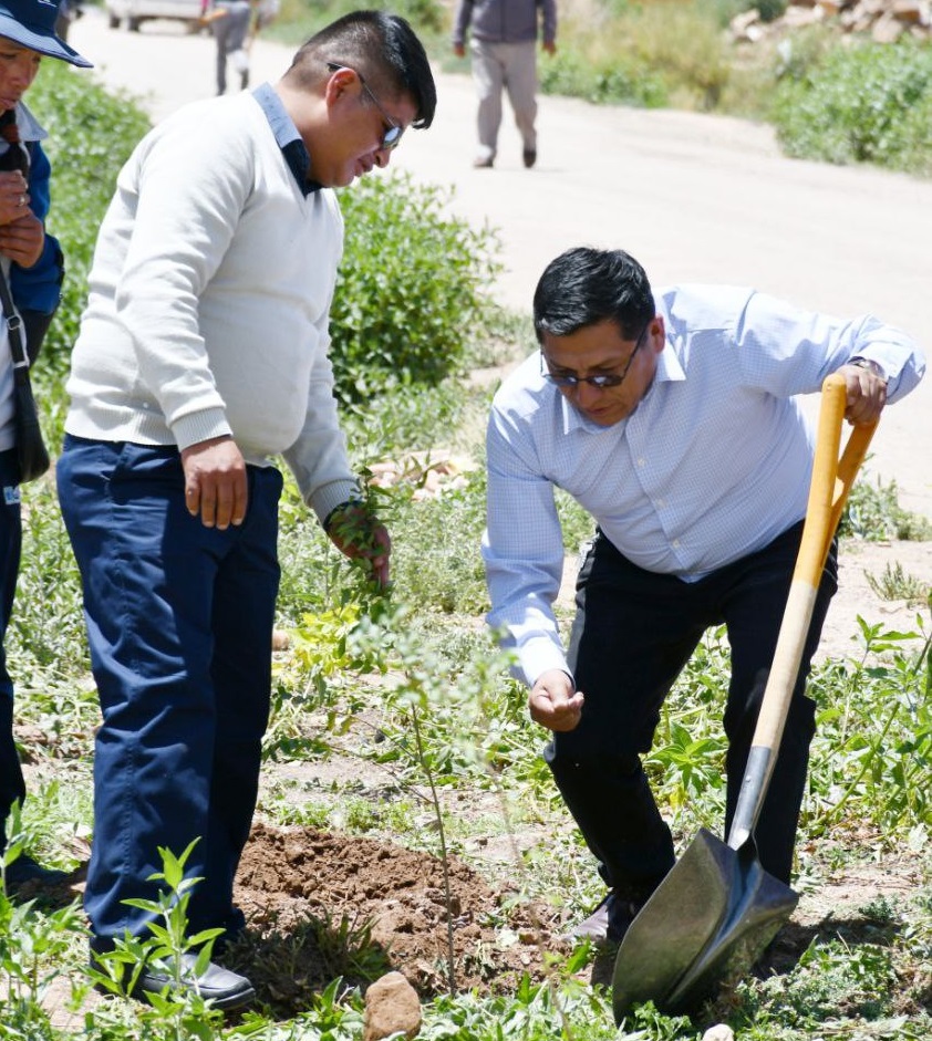 Campaña en Toledo y Belén de Andamarca concluye con siembra de 4.200 plantines 