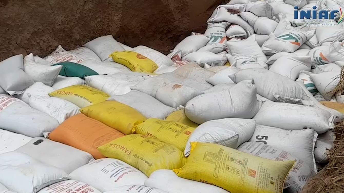 En Santa Cruz destruyen 144 toneladas de semilla de soya y girasol ilegal decomisadas este año 