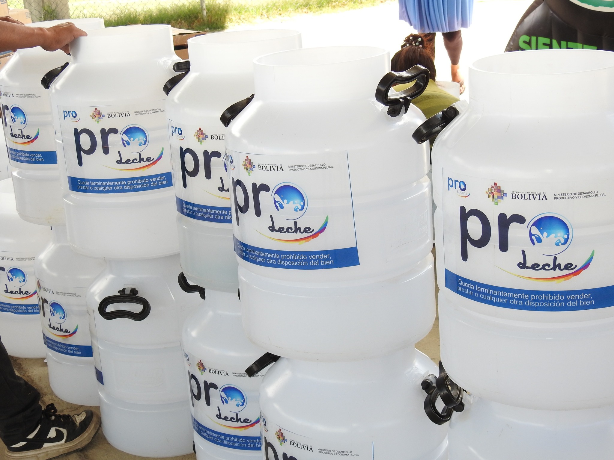 Gobierno invirtió este 2023 más de Bs 8 millones para mejorar la producción de leche en el país 