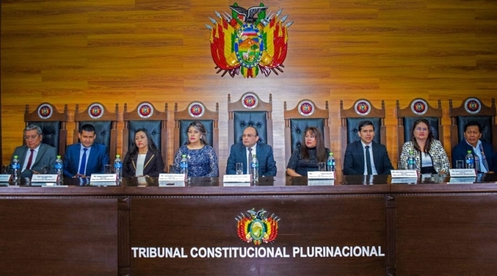 Conozca las razones por las que el TCP anuló la reelección indefinida en Bolivia y sentenció que ésta no es “un derecho humano”