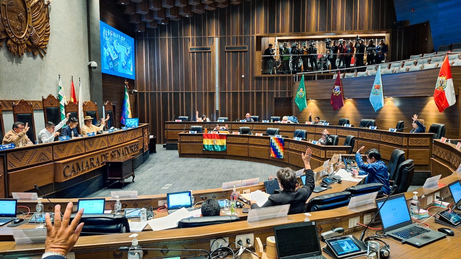 Exdiputada Costa asegura que el Senado no puede tomar decisiones durante el receso dispuesto por la Constitución