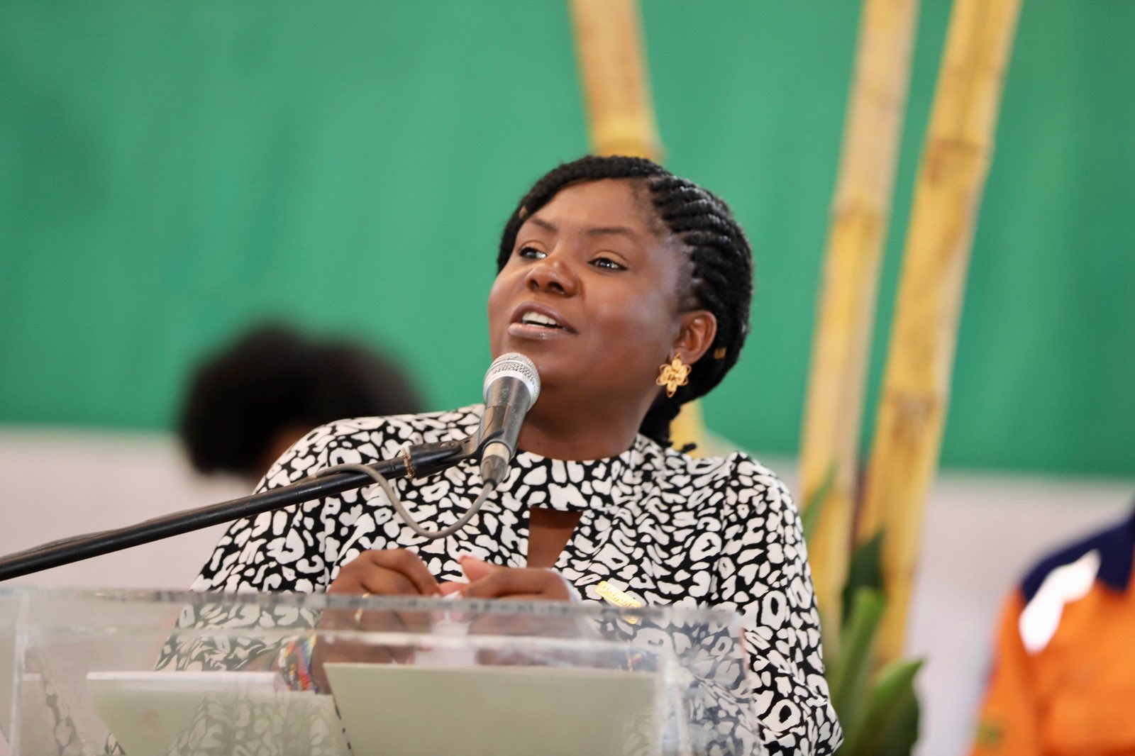 Cancillería expresa su solidaridad a la vicepresidenta de Colombia ante intento de atentado explosivo