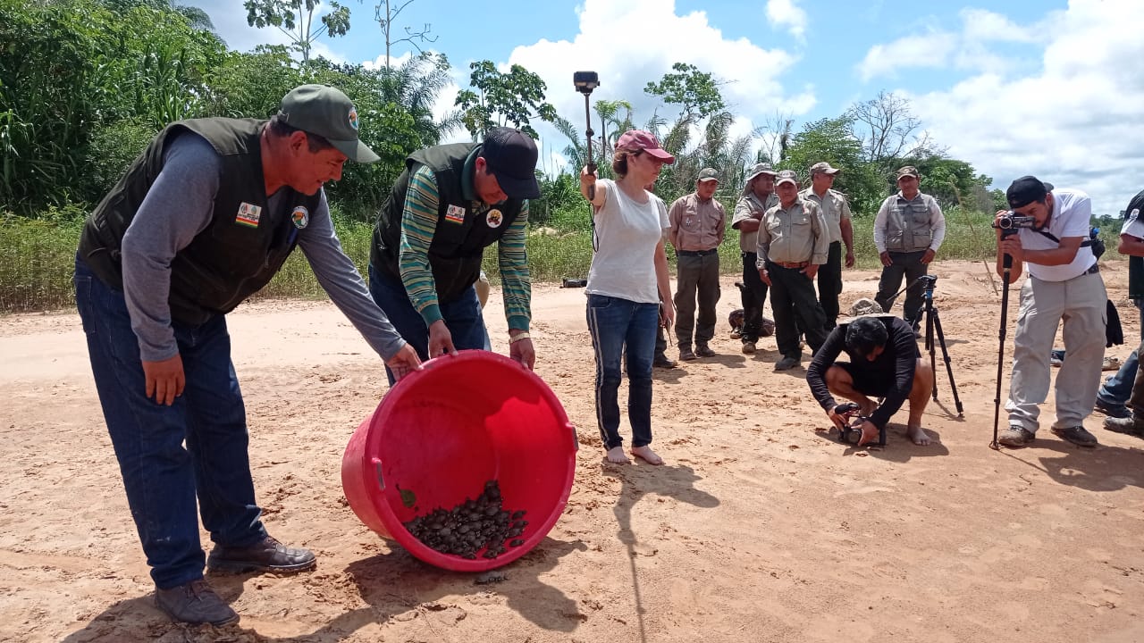 Liberan a 500 tortugas de río como mecanismo de protección de la Amazonía en Beni