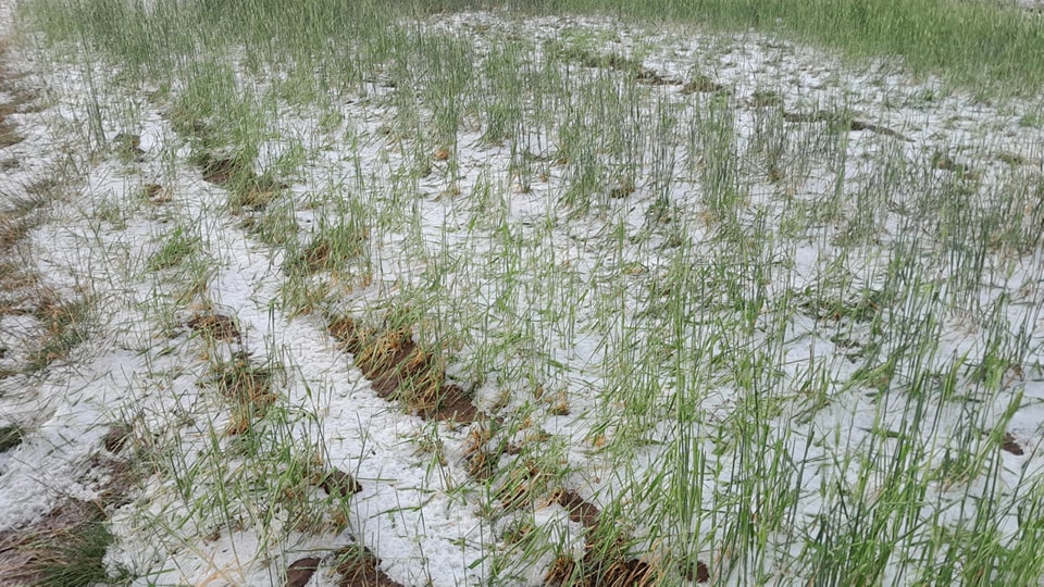 Defensa Civil verifica afectaciones por granizadas en municipios de Bolívar y Arque