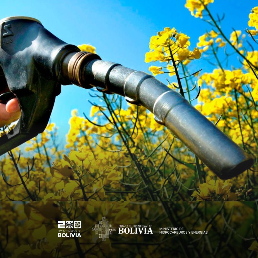 Decretos que promueven biocombustibles apuntan a desarrollar el potencial productivo de Bolivia