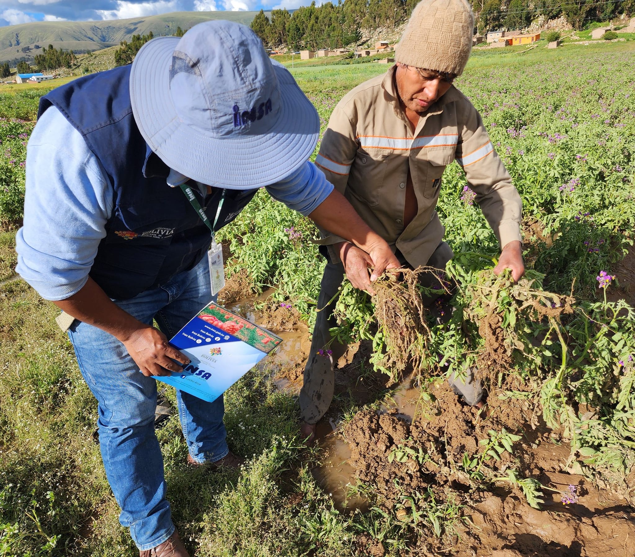 Sequía, granizadas, inundaciones e incendios afectan a 202.243 hectáreas de cultivos en Bolivia 