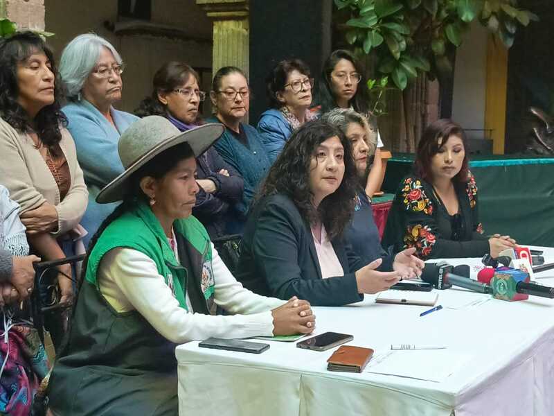 Más de 100 organizaciones rechazan modificaciones a la Ley 348 y advierten un “retroceso”