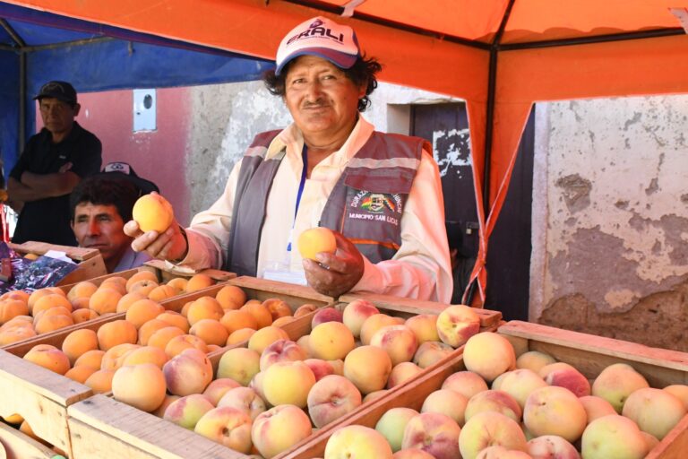 Construcción de la planta de transformación de durazno en Chuquisaca tiene 79,86% de avance 