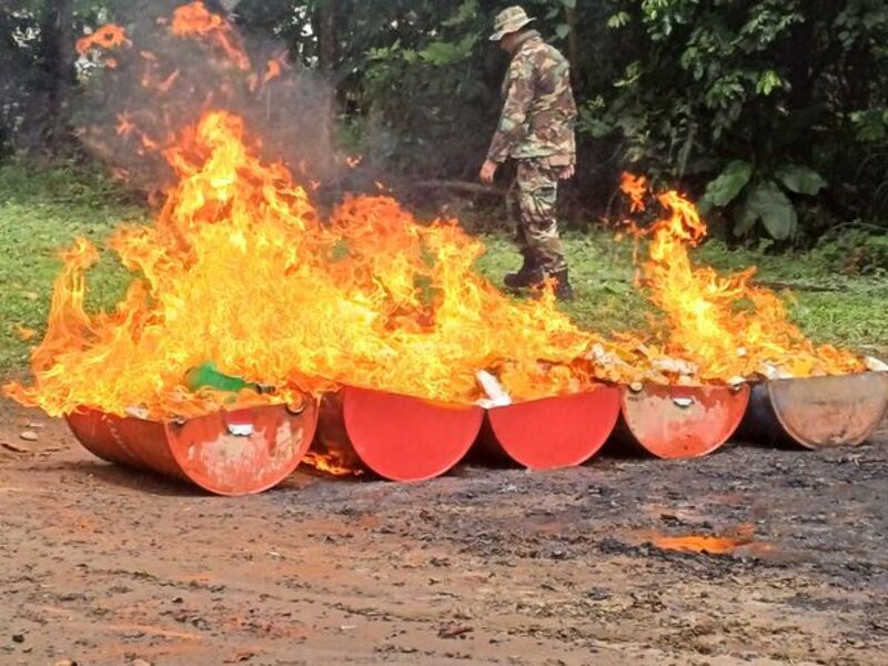 Felcn incinera 299,7 kilos de cocaína incautada al narcotráfico