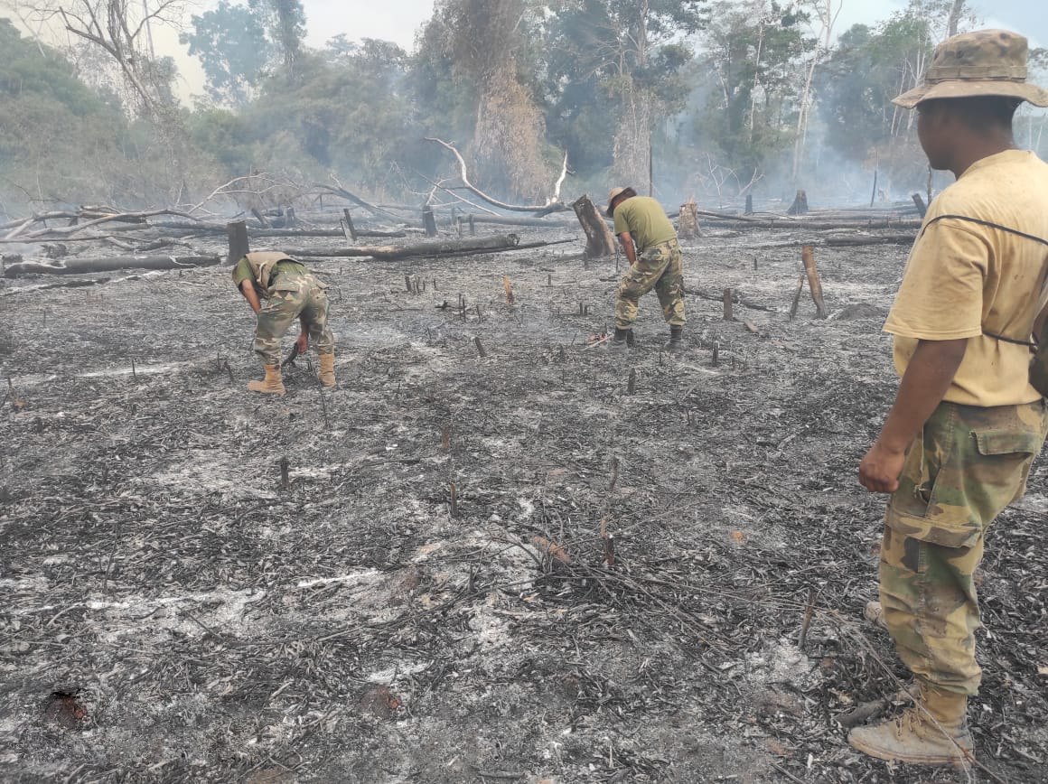 Bolivia reporta 16.494 focos de calor, Santa Cruz concentra la mayor cantidad