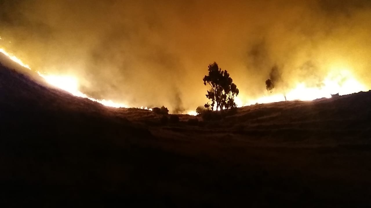 ABT presenta 31 procesos penales por provocar incendios forestales en el país
