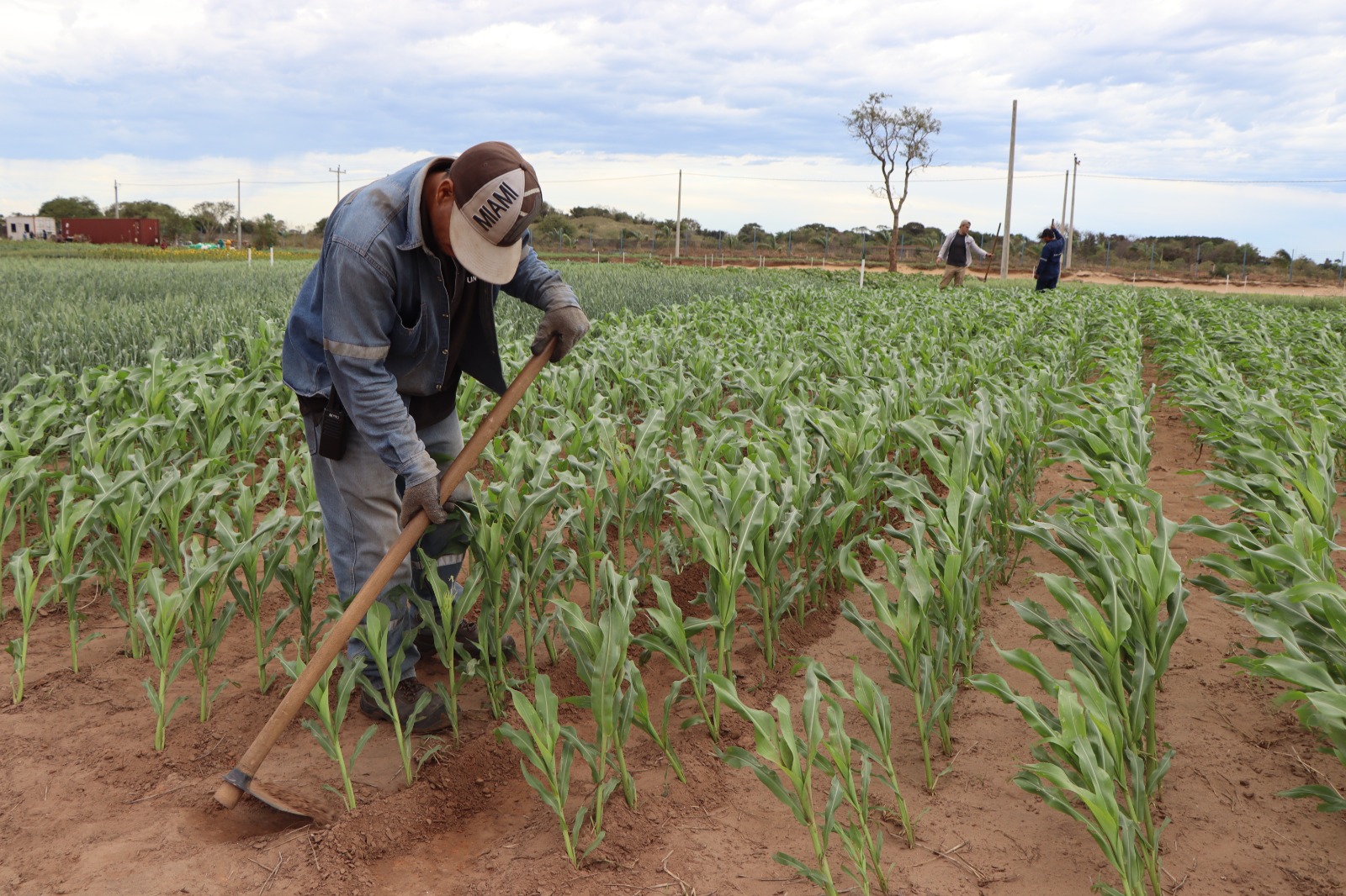 Proponen créditos externos, mejorar la productividad y elevar la producción nacional para retornar a la normalidad 