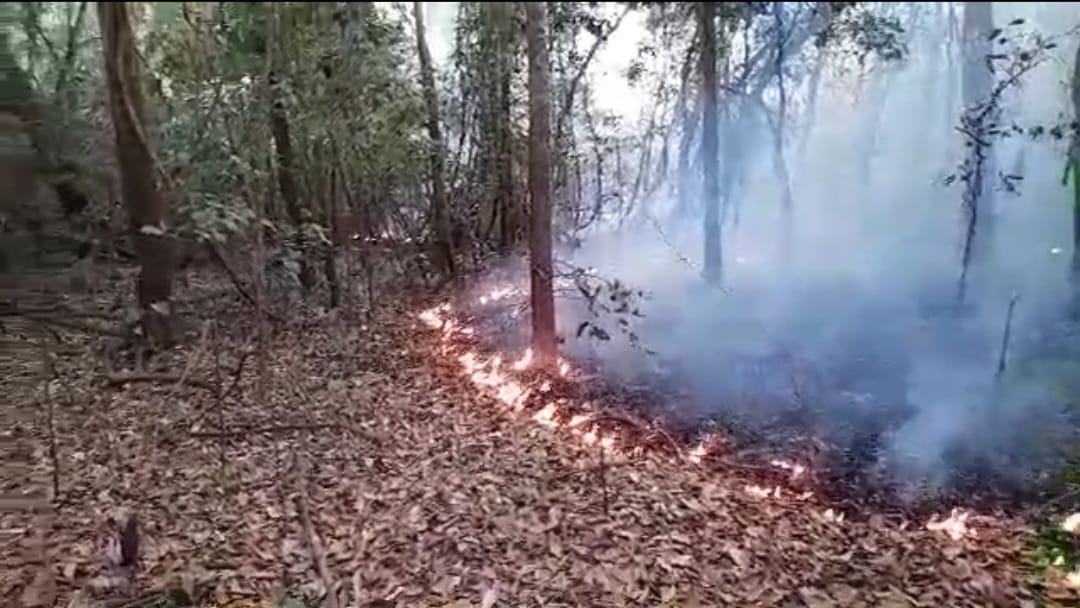 Bomberos forestales combaten incendio en el Parque Noel Kempff Mercado