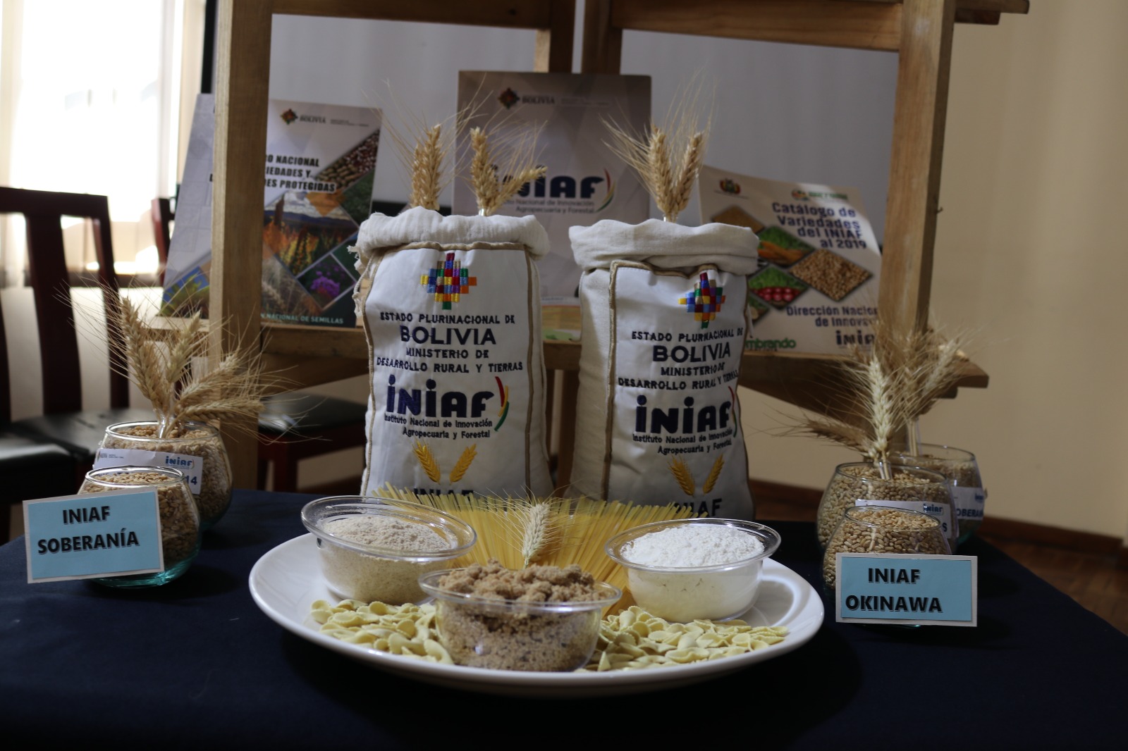 En Bolivia liberan 17 variedades de trigo altamente productivas 