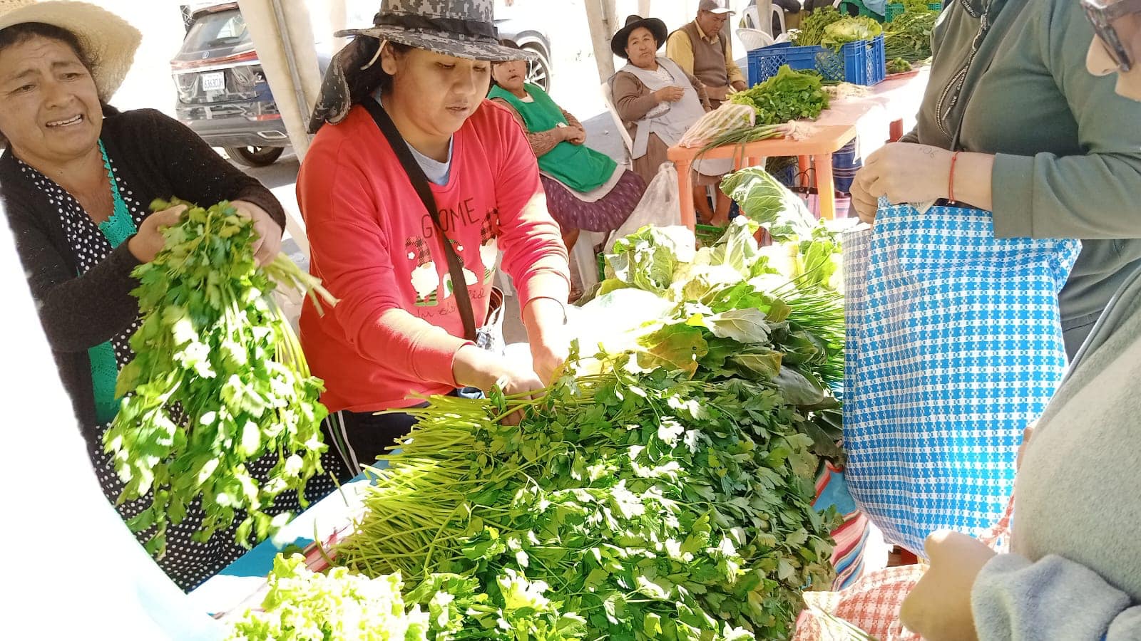En Sucre primera versión de la feria “Del campo a la olla” oferta alimentos ecológicos a precio justo 