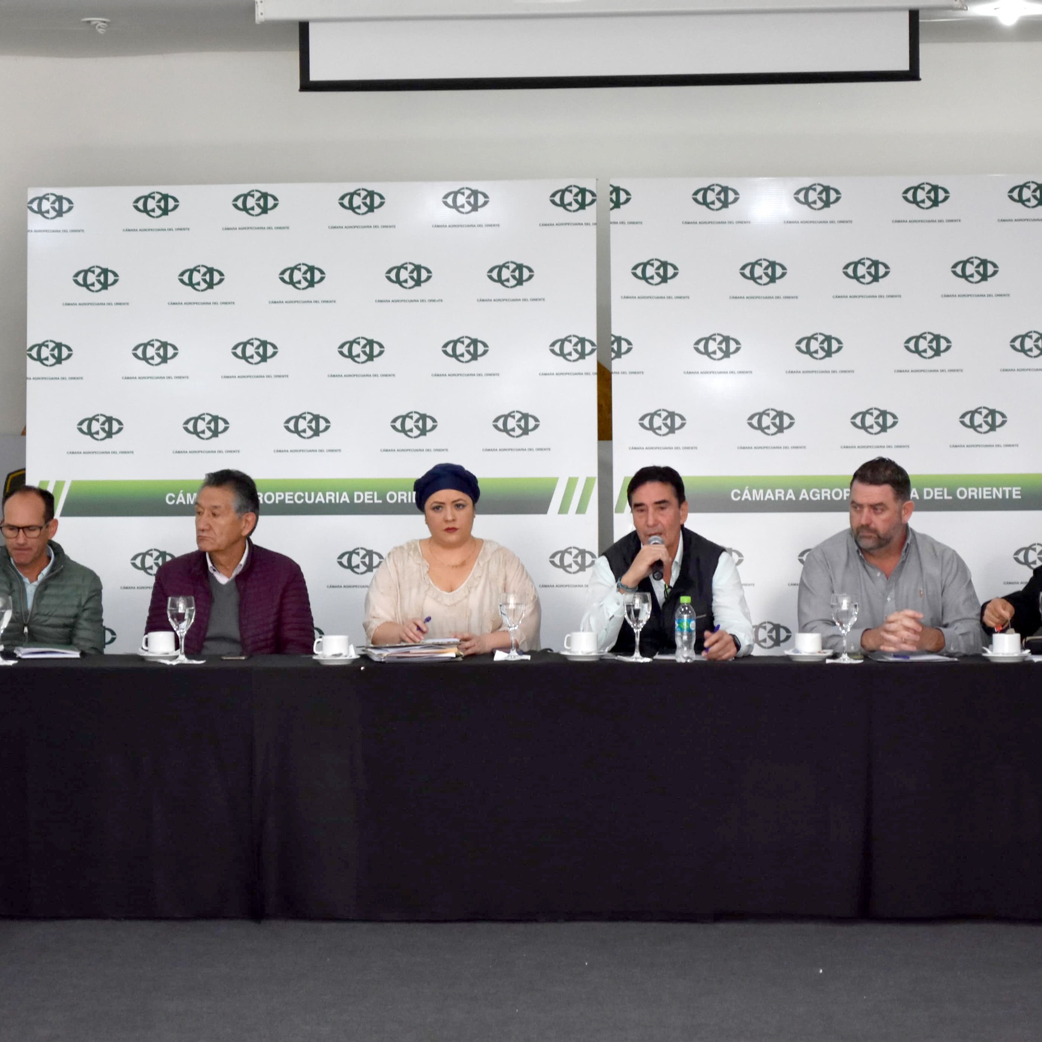 Arce presidirá este sábado el gabinete agropecuario en Santa Cruz