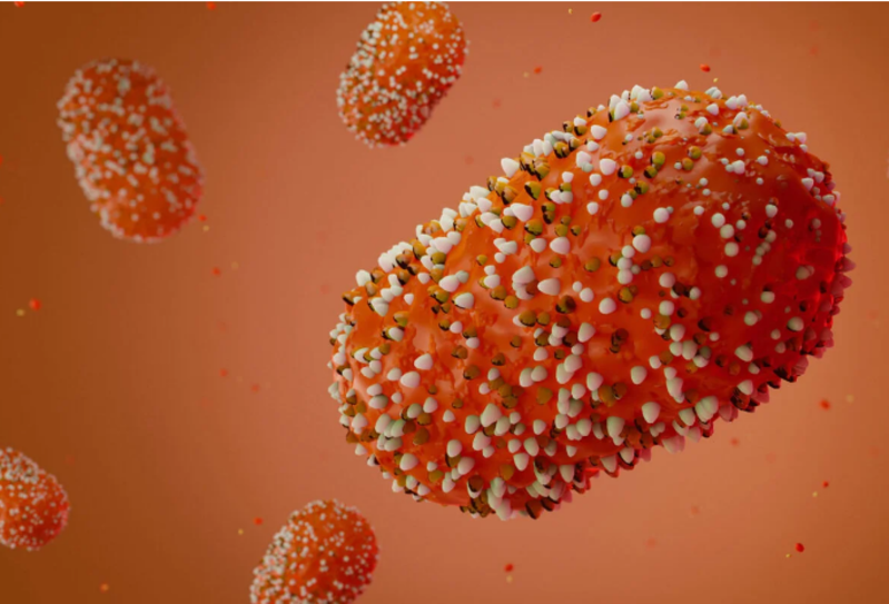 Oruro y Chuquisaca activan vigilancia epidemiológica por viruela símica 