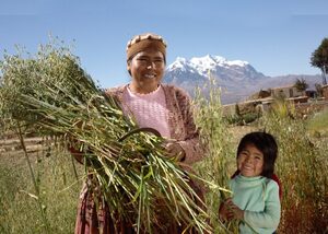 En Bolivia se empodera a más de 10.000 mujeres productoras con apoyo crediticio de Bs 526 millones