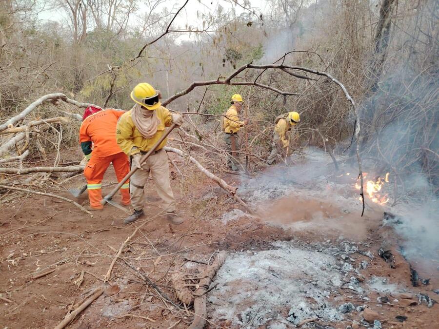 Sofocan 34 incendios forestales, Arce asegura respuesta inmediata y permanente en Santa Cruz, Beni y Pando