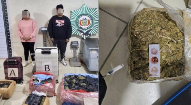 Incautan más de 41 kilos de marihuana y aprehenden a dos personas en Challapata