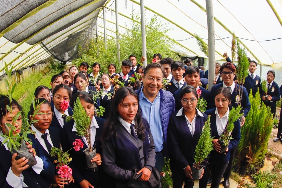 Presidente inicia plantación del “Séptimo pulmón verde” en Pucarani